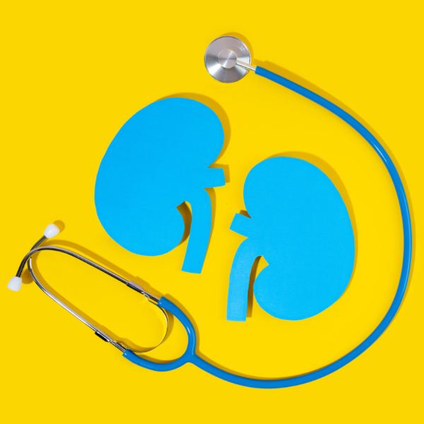 Unlocking the Power of Natural Kidney Health Supplements: Your Comprehensive Guide